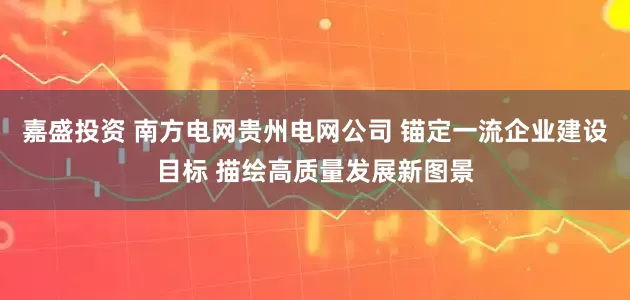 嘉盛投资 南方电网贵州电网公司 锚定一流企业建设目标 描绘高质量发展新图景