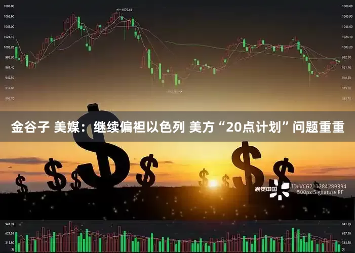 金谷子 美媒：继续偏袒以色列 美方“20点计划”问题重重