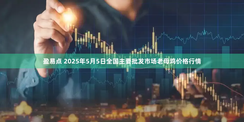 盈易点 2025年5月5日全国主要批发市场老母鸡价格行情